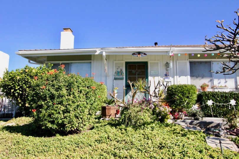 Small bushes in the garden with beautiful look and colorful lights to the roof in Colony Cove.