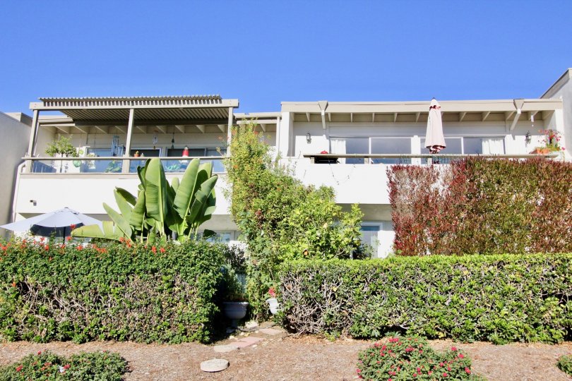 THE HOUSE IN THE OCEAN HILLS WITH THE BANANA TREES, FLOWER PLANTS