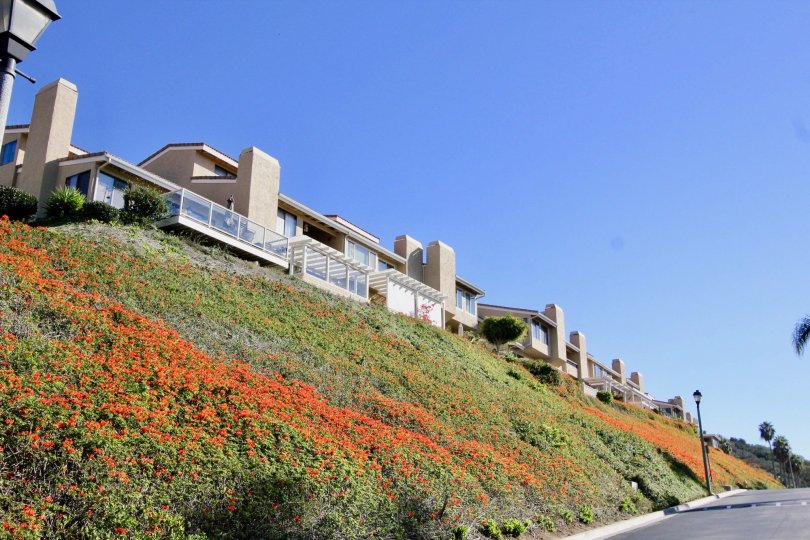 Lush hillside landscaping at the Seaview Townhomes