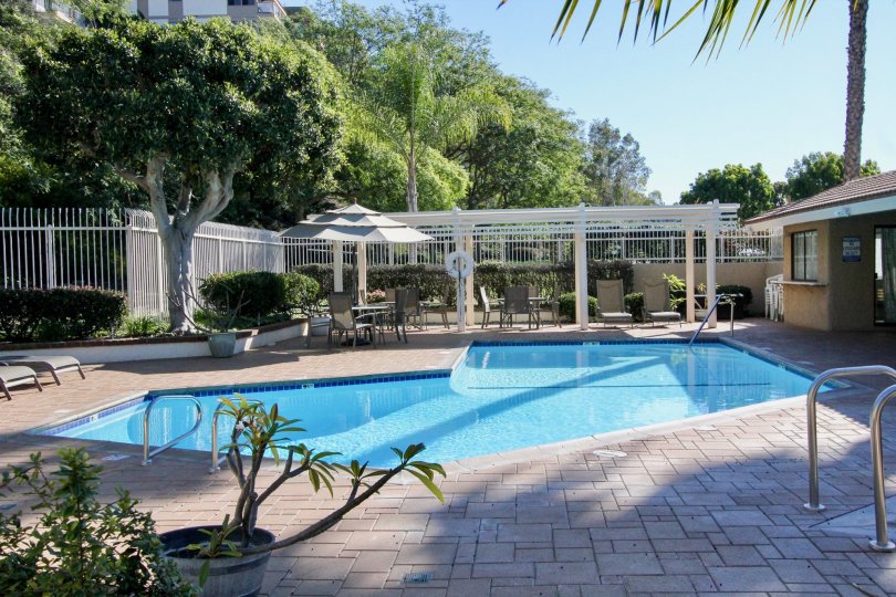 A cute swimming pool located at a hotel and surrounding with more trees and a small rest place at the morning time.