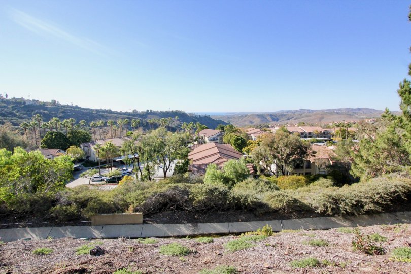 THE HILLS IN THE VIAMOURA WITH THE PLANTS, TREES, APARTMENTS
