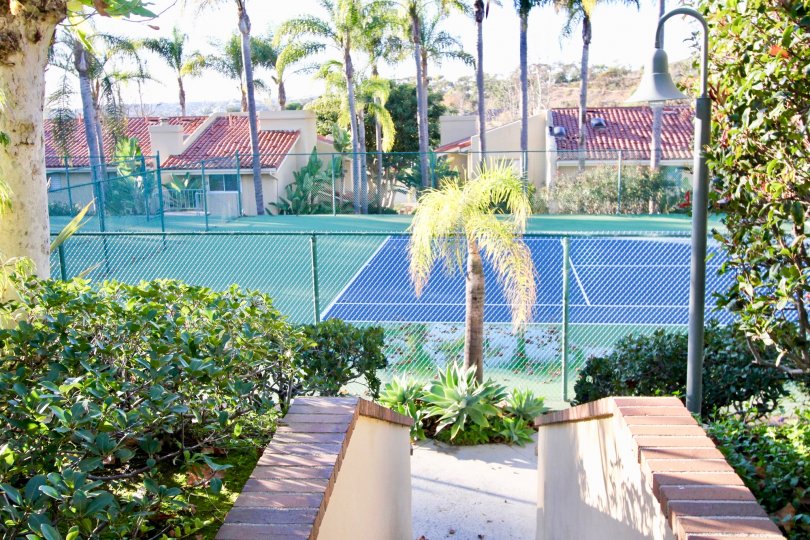 Trees and a tennis court at Cancun Racquet Club in San Juan Capistrano, CA