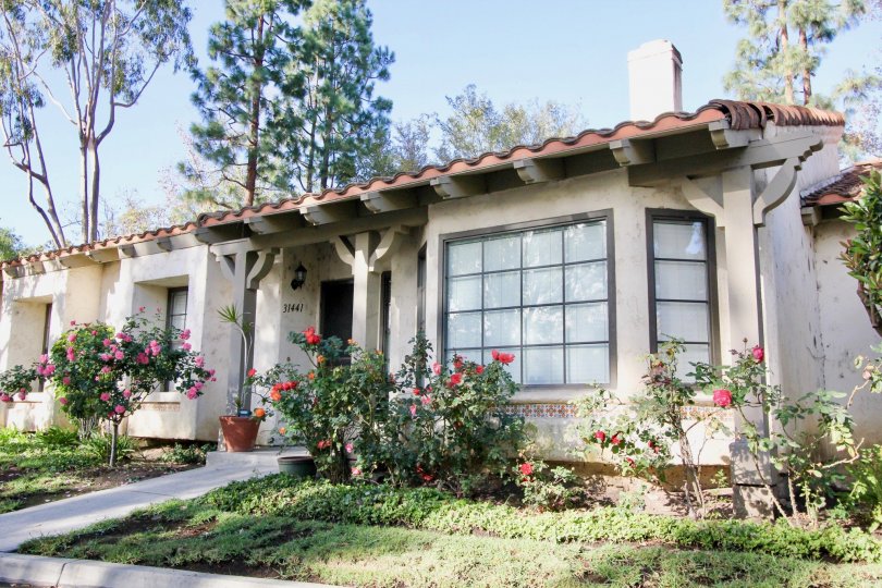 Potted plants on lawn in Capistrano D'Oro in San Juan Capistrano, CA