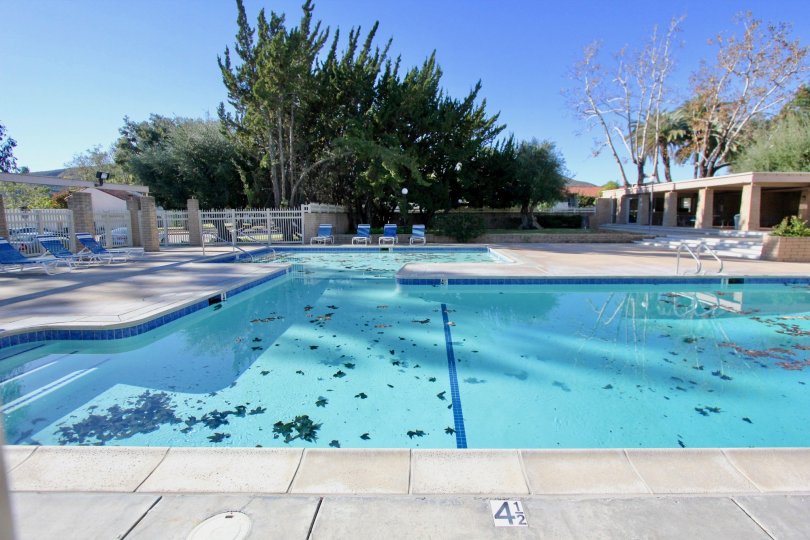 A sunny day by a Casitas Capistrano pool with leaves in it and a cabana and trees behind it