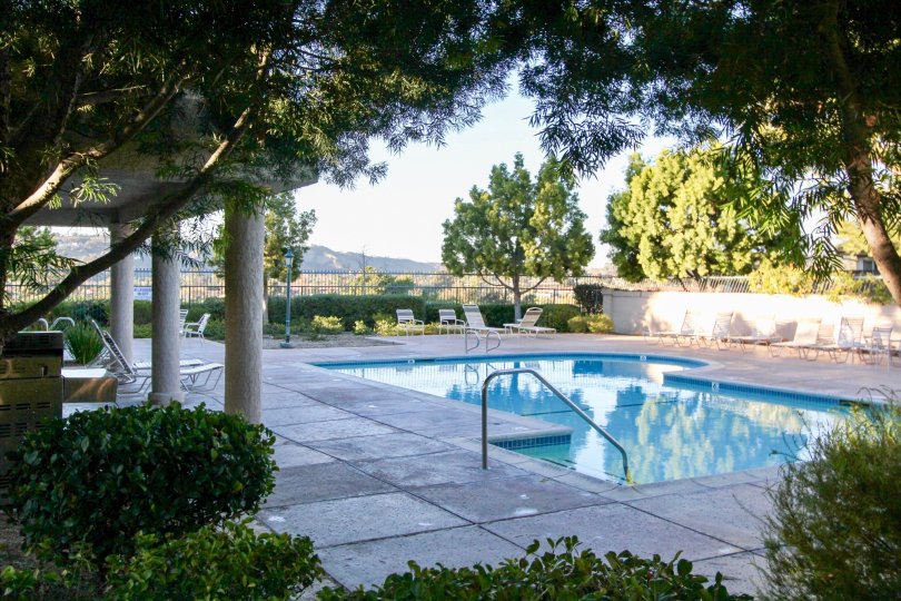 A sunny day by a pool in the Mesa Vista North community with many trees and bushes surrounding it
