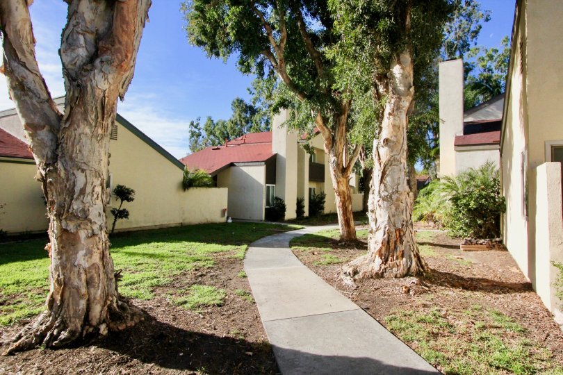 Trees and sidewalk at Sun Hollow in San Juan Capistrano, CA