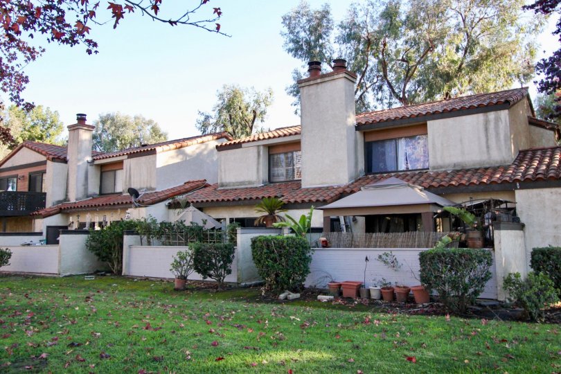 large connected backyard with shrubs and pottery at the rear of the home
