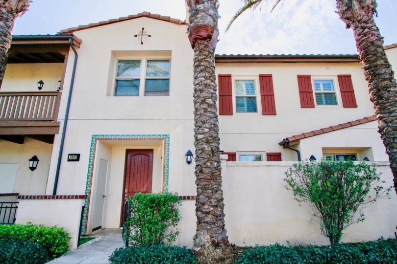 A bright day in the Avenue E with some palm trees and entrance door.