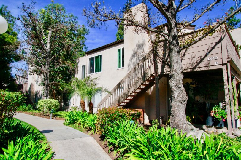 A sunny day in the Cabrillo Park with a house and beautiful plants.