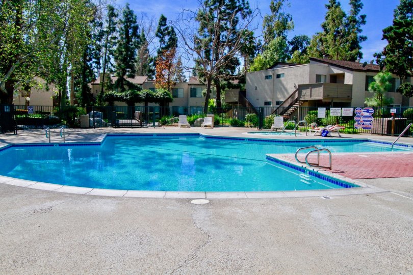 Cabrillo Park Apartments Pool Santa Ana California