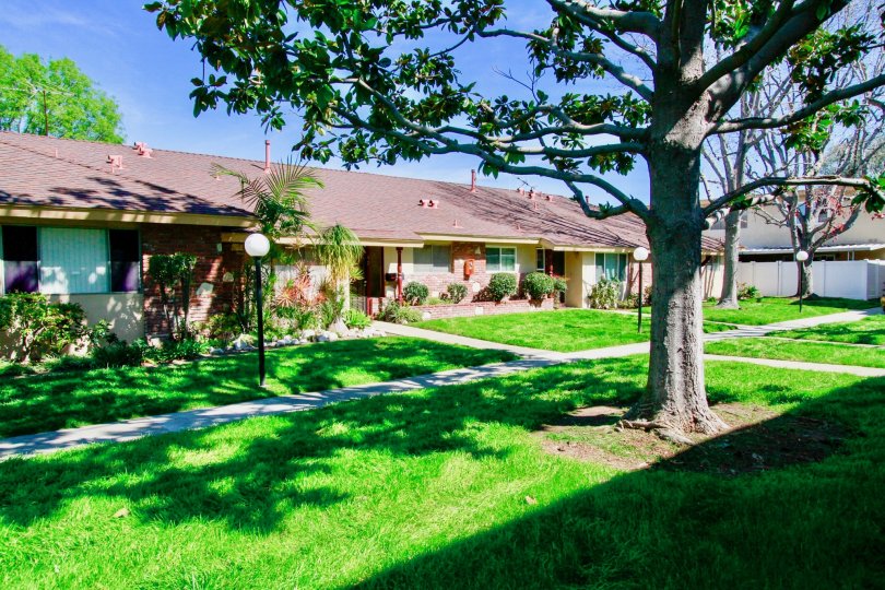 A view of the garden with green grass surrounding row houses in Hillview Regency community