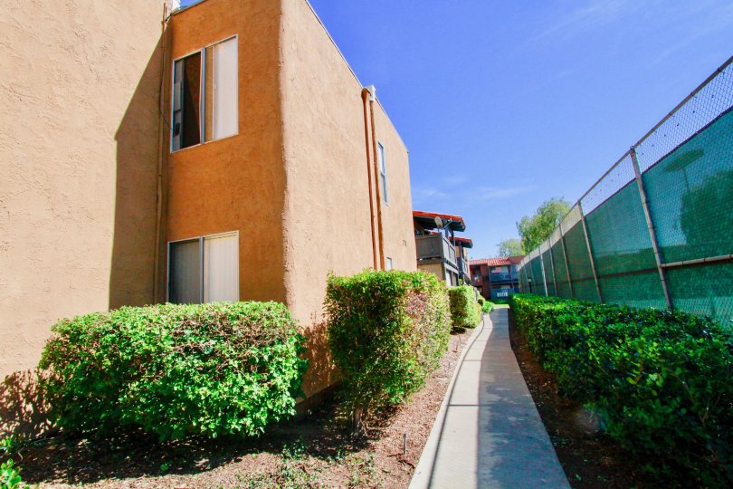 alley between the compound wall having plants in Monterey Villas