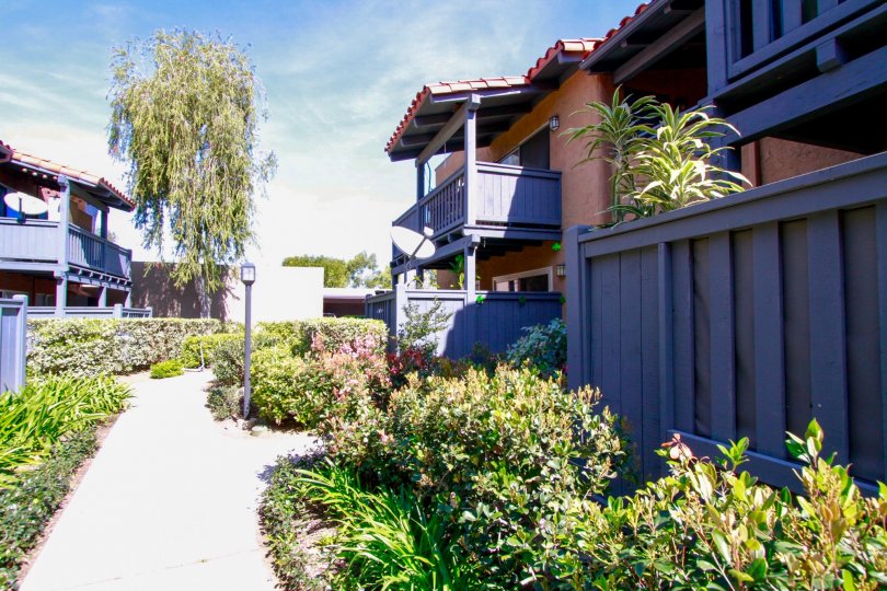 A beautiful day in the Monterey Villas with the path between buildings.