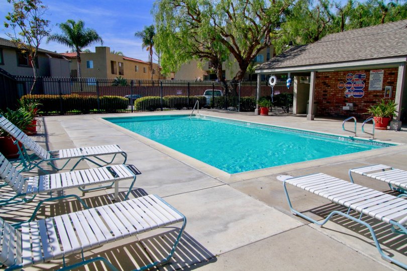 swimming pool decorated with chairs and plants around in Normandy Place