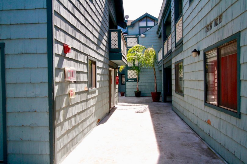A great day in the Pine Vista with the space between houses.