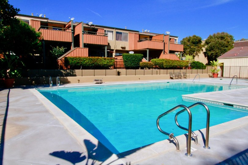 A clear day in the South Coast Terrace with a swimming pool with decorated plants.