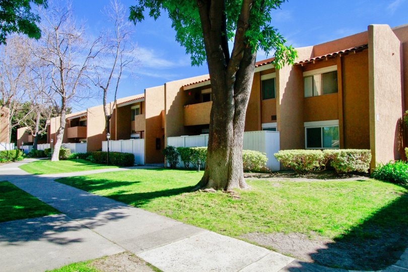 The row houses in South Coast Villas is having beautiful row houses and also with street full of trees and plants.