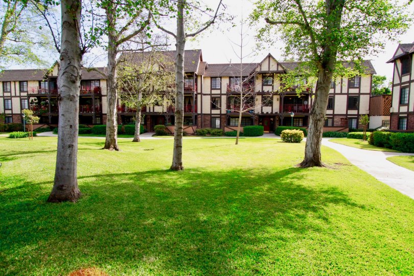 yard with trees and plant in front of the building in St Albans