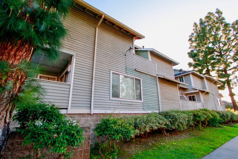 A side view of a lovely house surrounded by a garden with lawns in the Sunwood square community