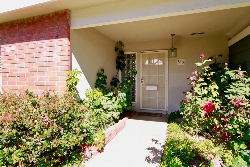 A beautiful day in the Tennessean in front of a house with flower.
