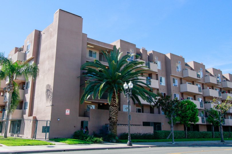 A beautiful apartment in the The Spectrum with glass windows and big trees, palm trees and green grass near the road side.