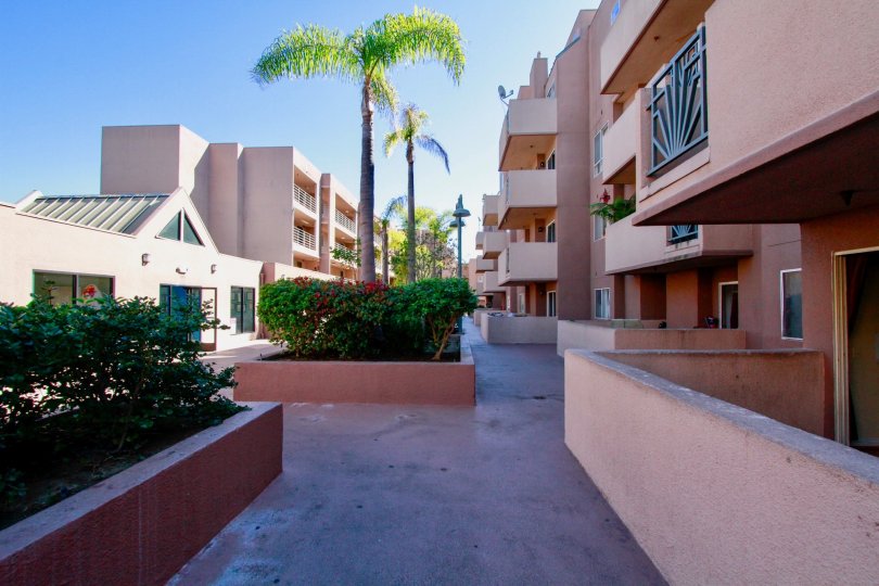 In center of The Spectrum, Trees and bushes with flowers are present at Santa Ana city