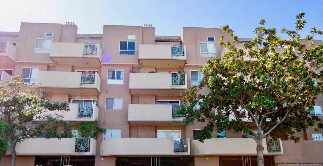 Apartment building of The Spectrum with trees and balconies on a sunny day.