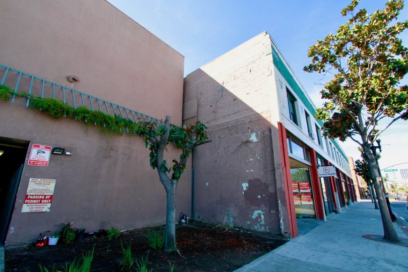 A sidewalk in the The Spectrum community with trees on a sunny day.