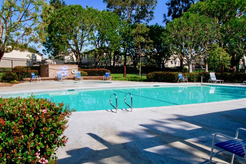 A nice day in the Windwood Forest with a swimming pool and trees.