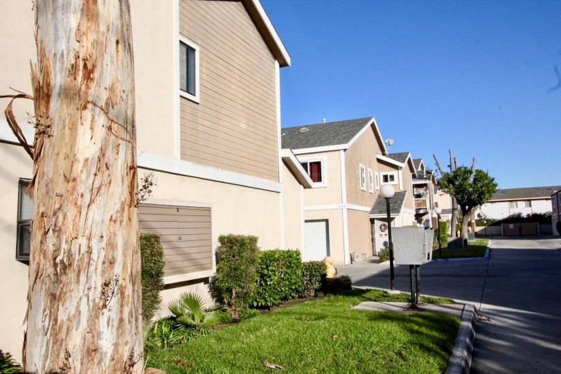 THE APARTMENTS IN THE ALIDA GARDEN WITH THE LAWN, BULP, ELECTRIC BOX, TREES