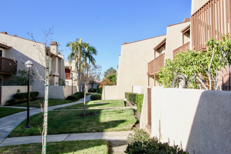 Trees and lawns in Bell Terrace in Stanton, California