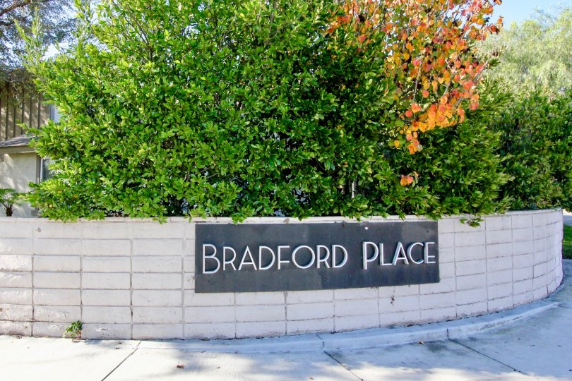 THE WALL IN THE BRADFORD PLACE WITH THE PLANTS, HOUSE