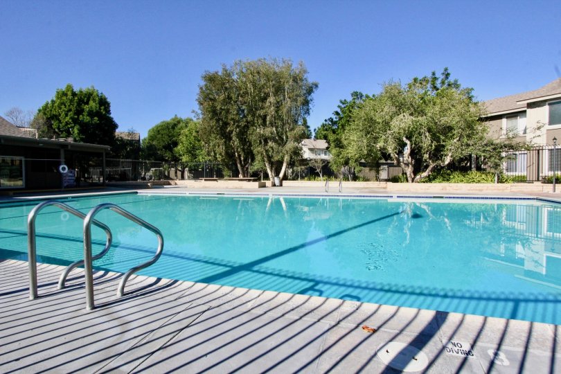 THE HOUSE IN THE BRADFORD PLACE WITH THE SWIMMING POOL, PLANTS