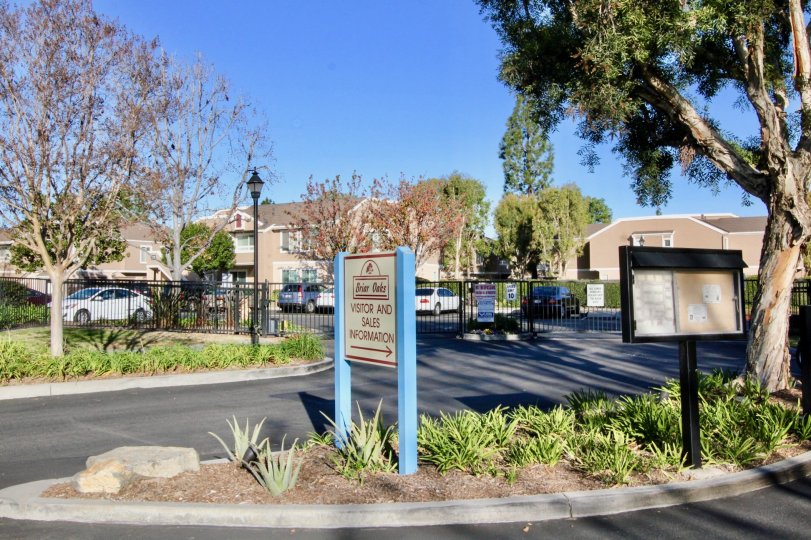 Double line road with notice board and street lamps in Briar Oaks.