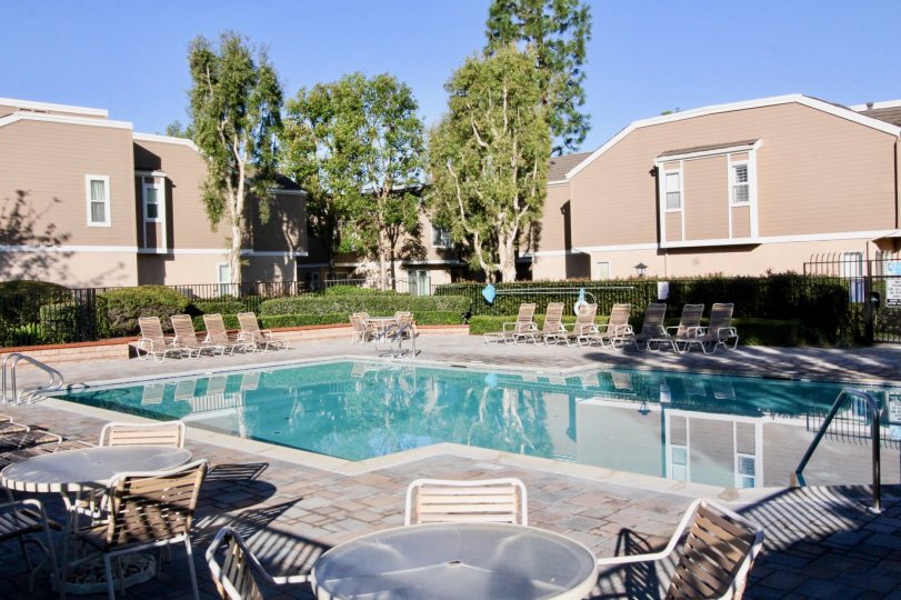 A two parrallel house with a swimming pool in front and the morning day time with cute trees between two houses.