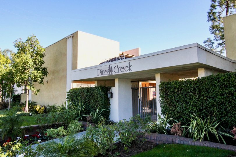 the pine creek is a forest house of the stanton city in california