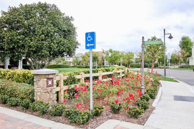 A blue handicapped parking sign sits in a garden patch in the Ainsley Park community