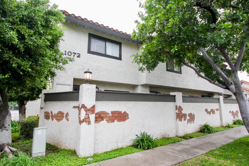 Well-maintained common area walkways and mature landscaping at the Macaw Cove community