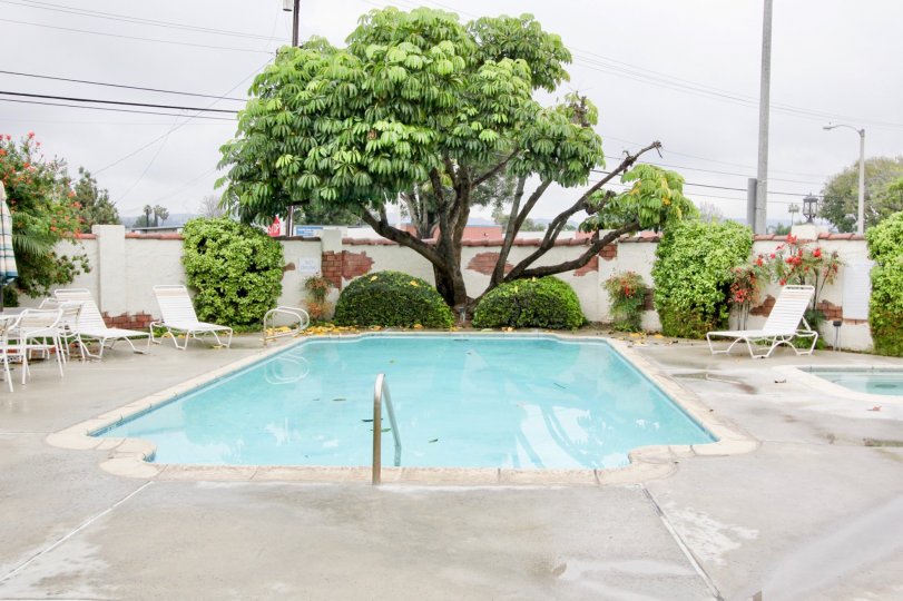 THE SWIMMING POOL WITH THE STREET LIGHT, CHAIRS, PLANTS, TREES