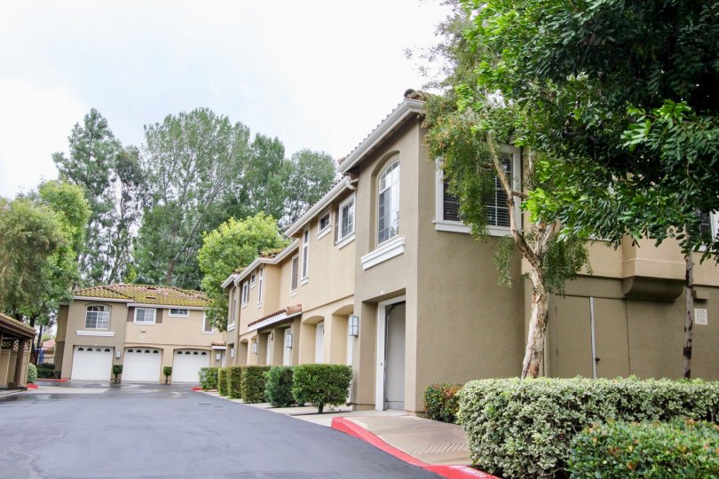 An olive green townhome sits next to row of tan ones in the Shadow Canyon community