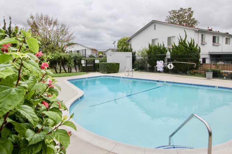 Nice looking swimming pool with flowers and garden near villa of Tustin Imperial of Tustin