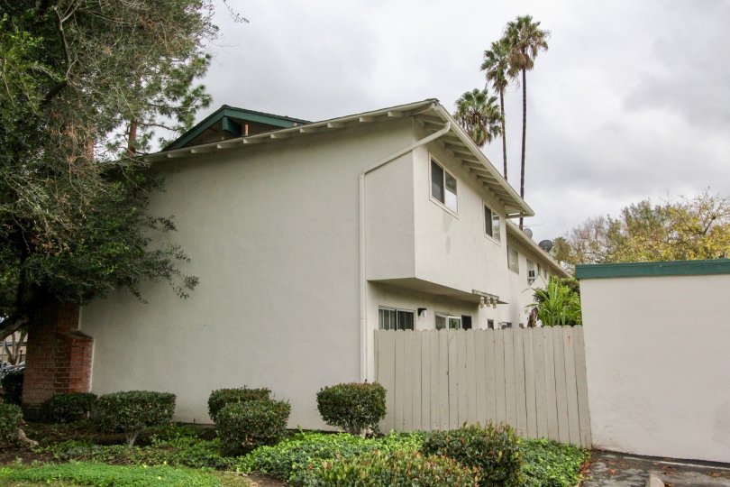 Three tall palm trees sit high above a residential building in the Tustin Place community