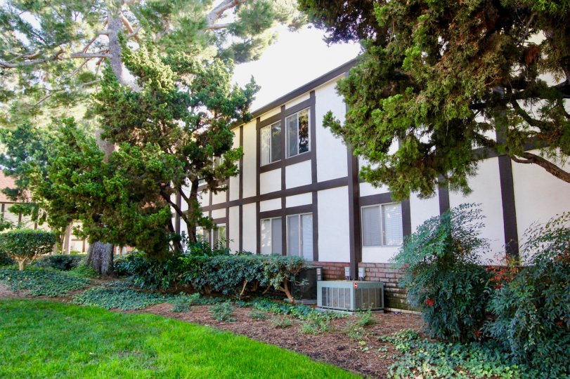 THIS BEAUTIFUL PLACE LOOKS LIKE THE BACKSIDE OF THE HOUSE WITH THE GARDEN WHICH HAS THE MANY TREES AND PLANTS IN THE CITY OF TUSTIN