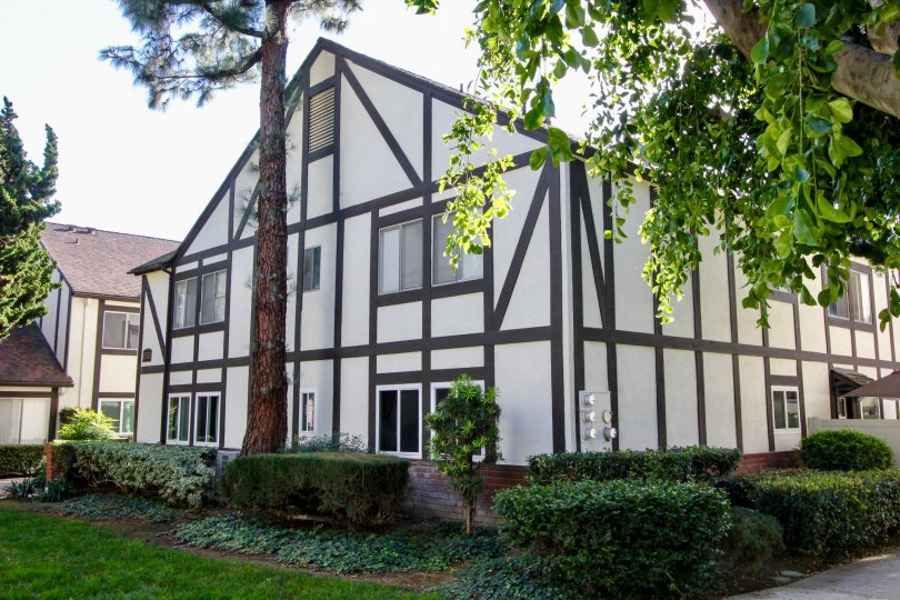 The charming Williamshire Condos with white siding, brown craftsman style trim, tall trees and common area