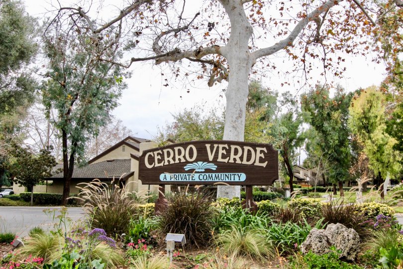 Cerro Verde Yorba Linda California is very suitable for holiday picnic spot for whole family enjoyments
