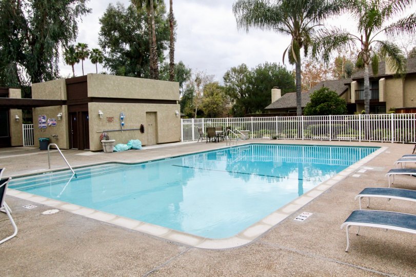 A nice day in the Cerro Verde with a swimming pool and palm trees.