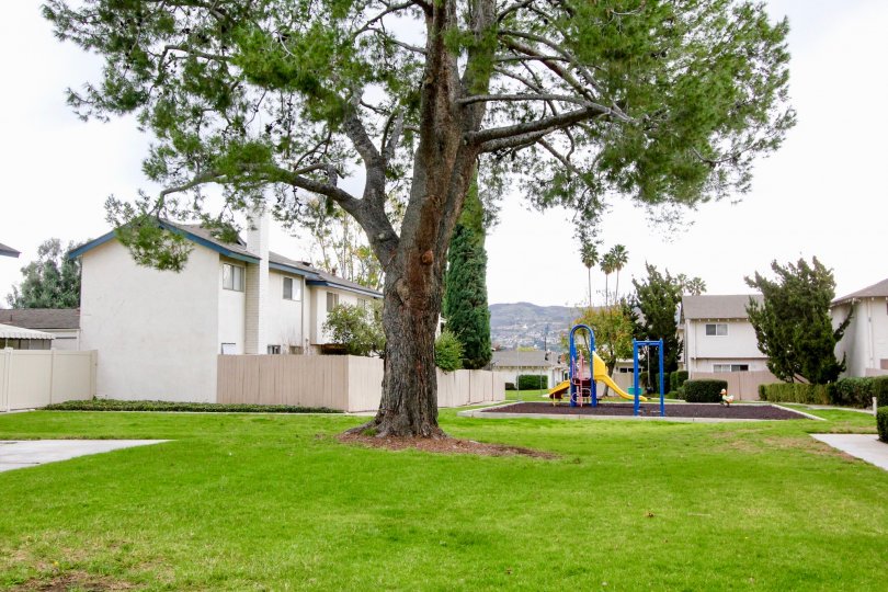 A large lawn outside a villa with children's park area inside the Fairgreen Homes community