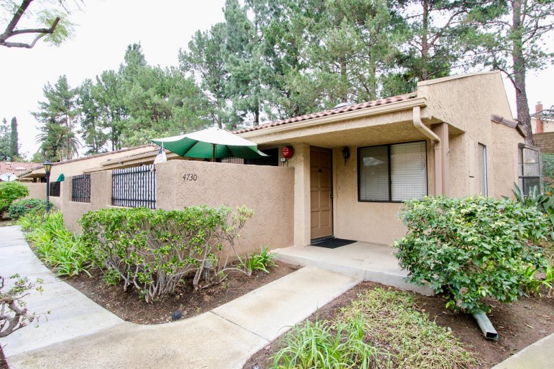 A sunny day in the Lakeview with grey beautiful house, flowering plants, big trees, green grass and shrubs with footpath.
