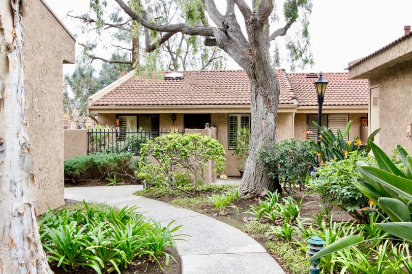 a tan colored homes with plants along the sidewalk in lakeview community in yorba linda, california.