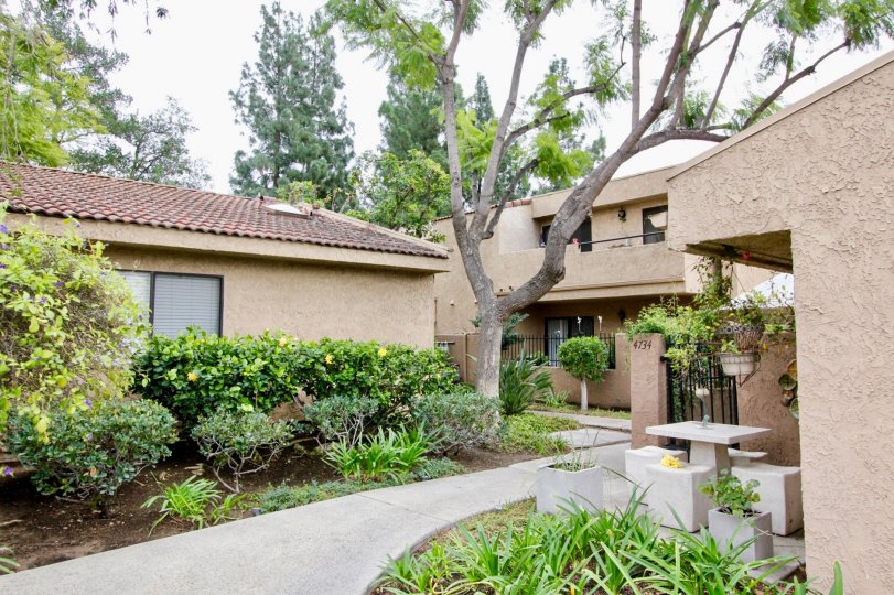 The houses in the Lakeview with big trees, green grass, ornamental flowering plants, shrubs near the footpath.